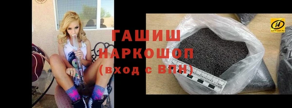 индика Протвино