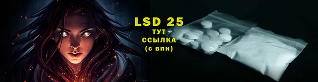 ГАЛЛЮЦИНОГЕННЫЕ ГРИБЫ Аркадак