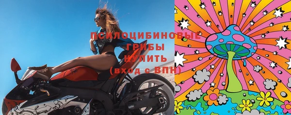 ГАЛЛЮЦИНОГЕННЫЕ ГРИБЫ Аркадак