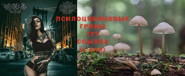 Альфа ПВП Арсеньев