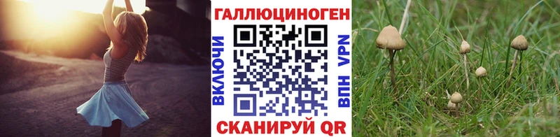 где купить наркоту  Уржум  Галлюциногенные грибы прущие грибы 